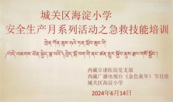 西藏阜康醫(yī)院黨支部在海淀小學(xué)開(kāi)展急救技能培訓(xùn)活動(dòng)