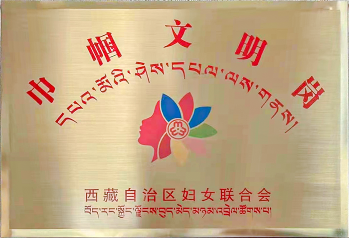 西藏大學(xué)附屬阜康醫(yī)院護(hù)理團(tuán)隊(duì)榮獲全區(qū)“巾幗文明崗”榮譽(yù)稱號(hào)